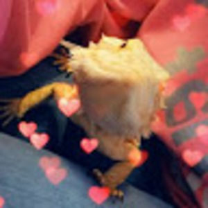 Meet your Posher, Kristy